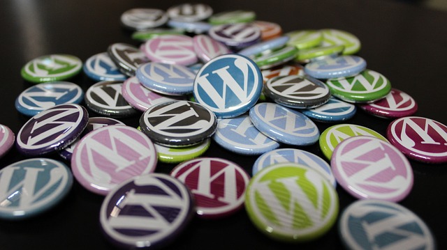 Wordpress Content Management System Design, Development, Maintenance, Troubleshooting
